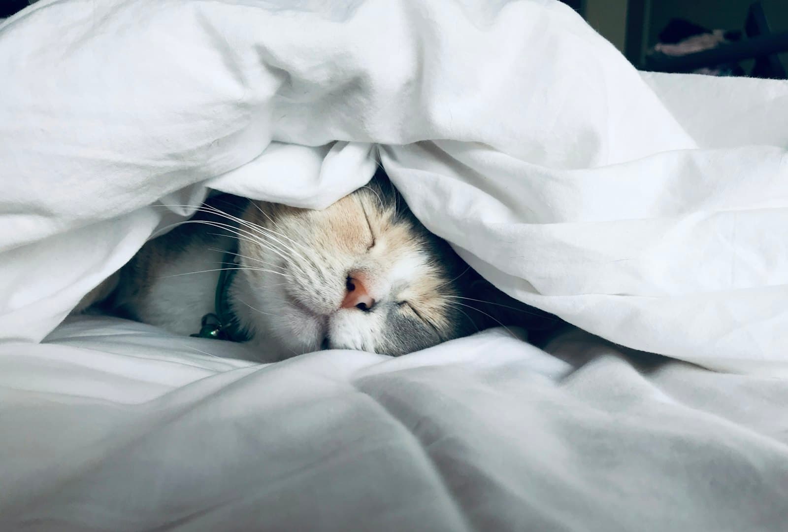 Sueño y descanso