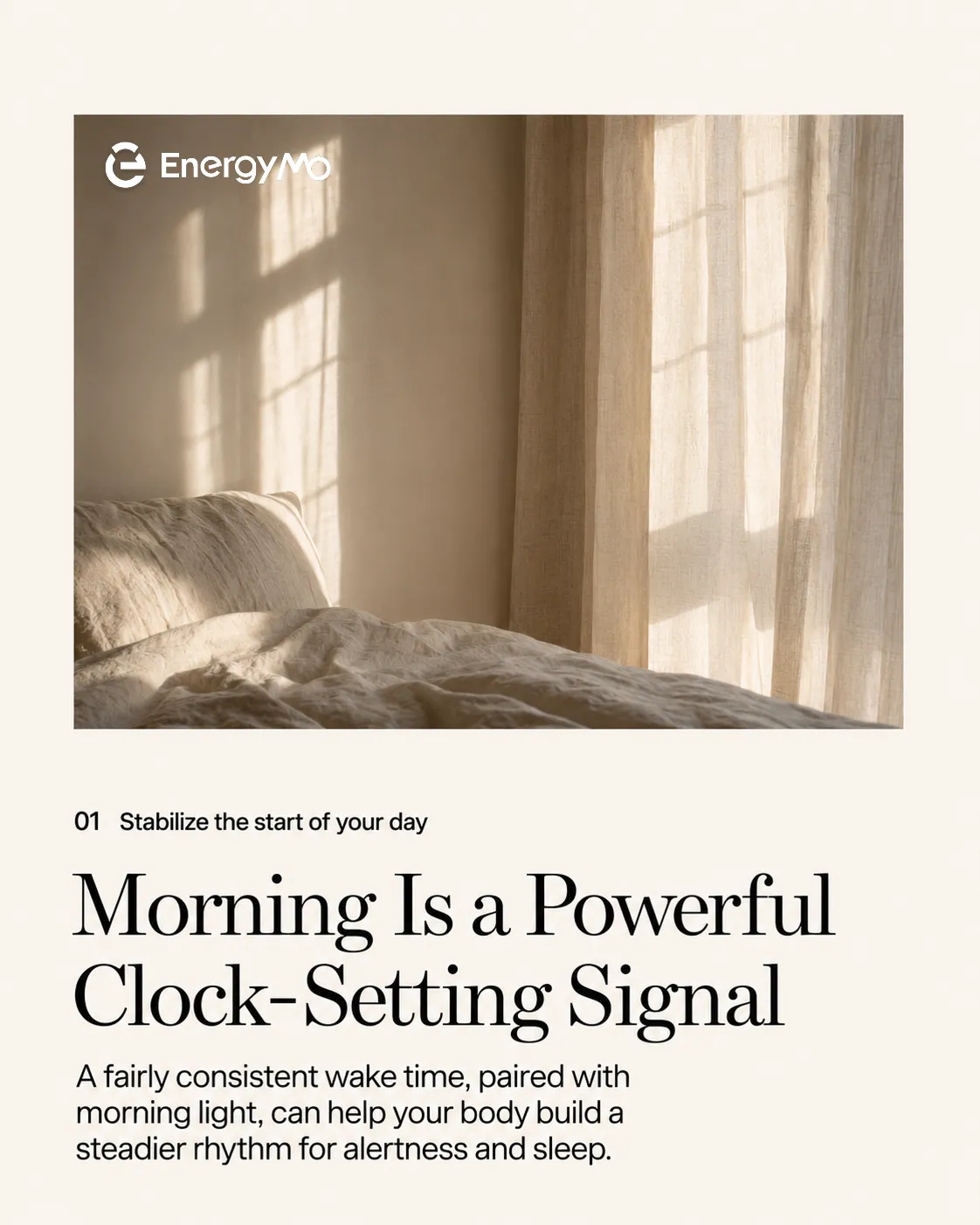 Sunlit bedroom with the line “Morning is a powerful clock-setting signal.”