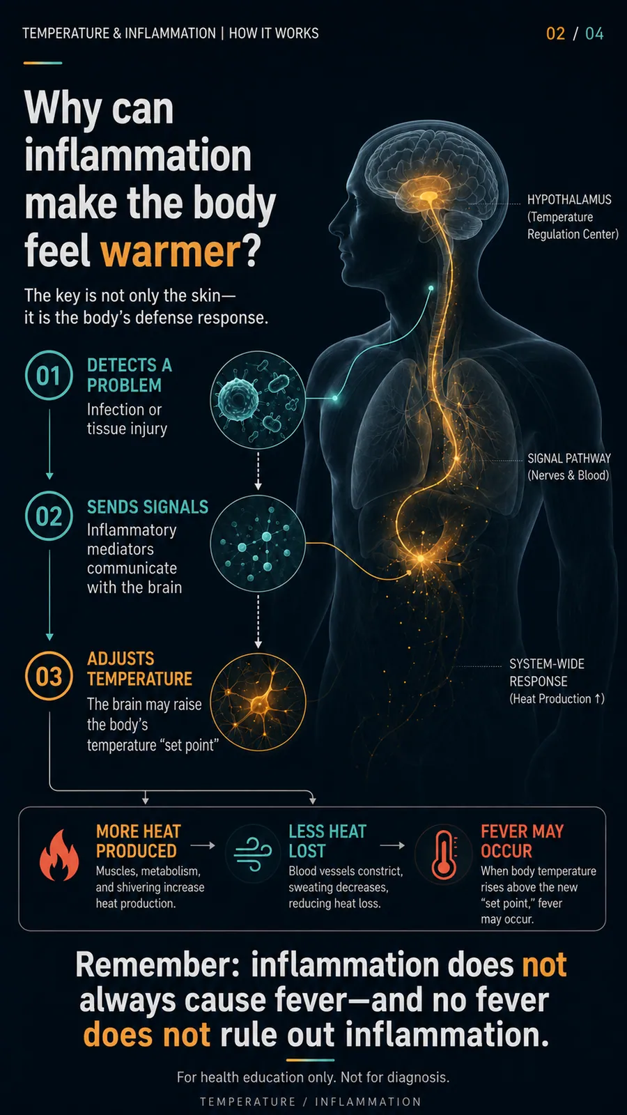 Température et inflammation : comprendre une variation inhabituelle
