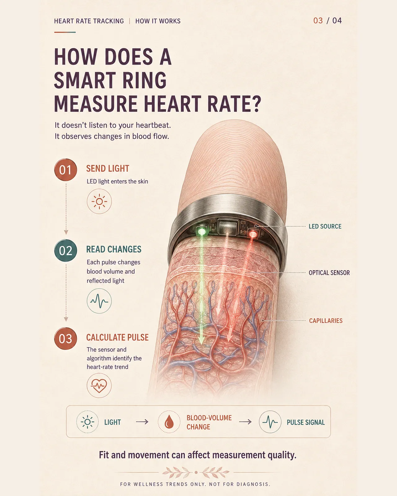 Warum rast mein Herz im Sitzen? Herzfrequenzmessung mit dem Smart Ring erklärt
